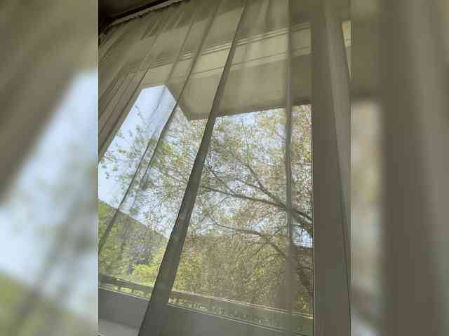 Alya_bc webcam