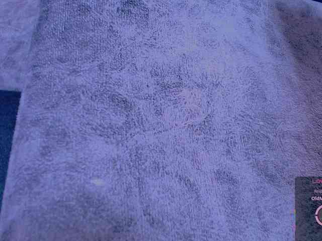 Tina-love- webcam