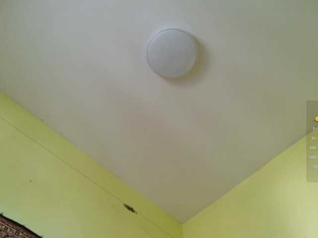 ladybigsmile live cam