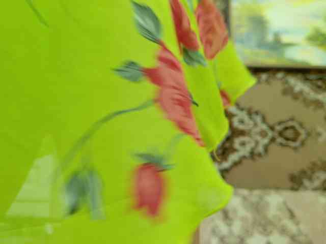 SimaGoldy webcam