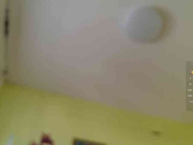 SimaGoldy webcam