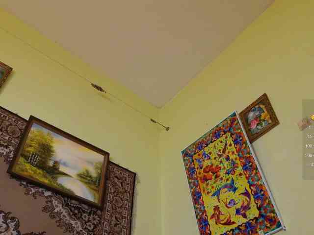 SimaGoldy webcam