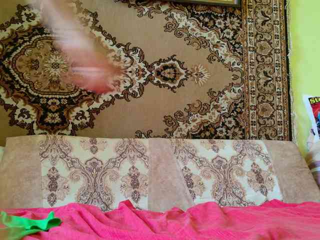 ladybigsmile Sex Cam Show