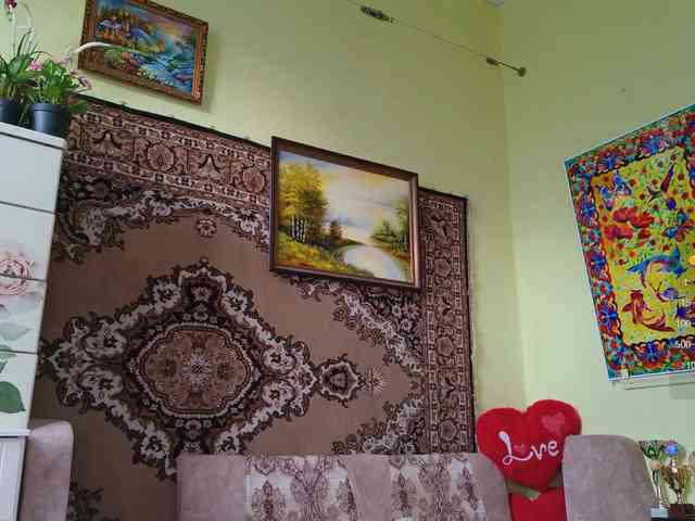 SimaGoldy webcam