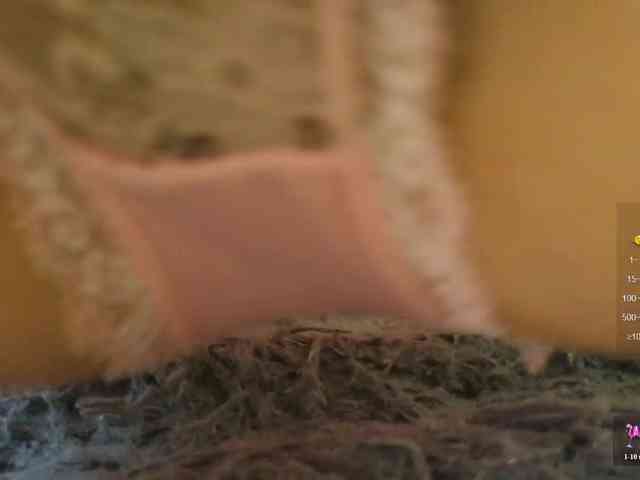 SimaGoldy webcam