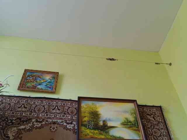 SimaGoldy webcam