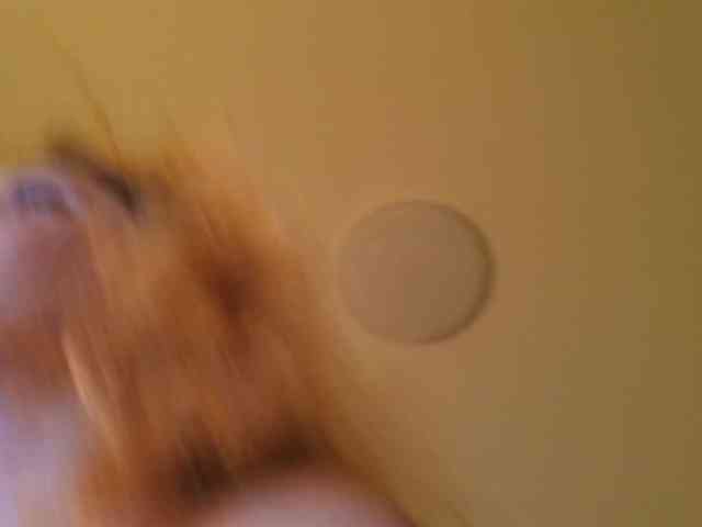 SimaGoldy webcam