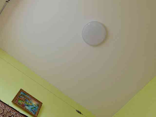 SimaGoldy webcam