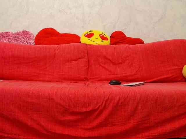 SimaGoldy webcam
