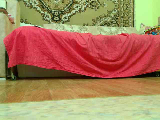 SimaGoldy webcam