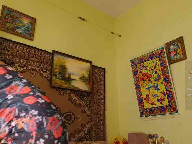 SimaGoldy webcam
