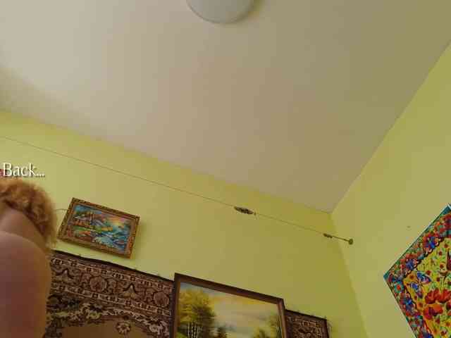 SimaGoldy