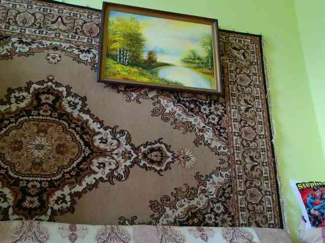 SimaGoldy webcam