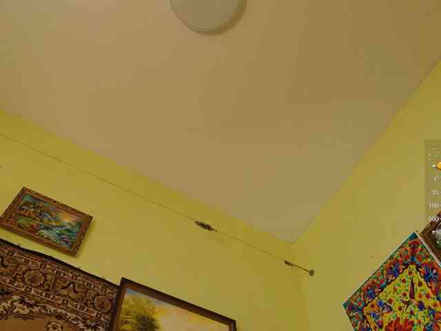SimaGoldy
