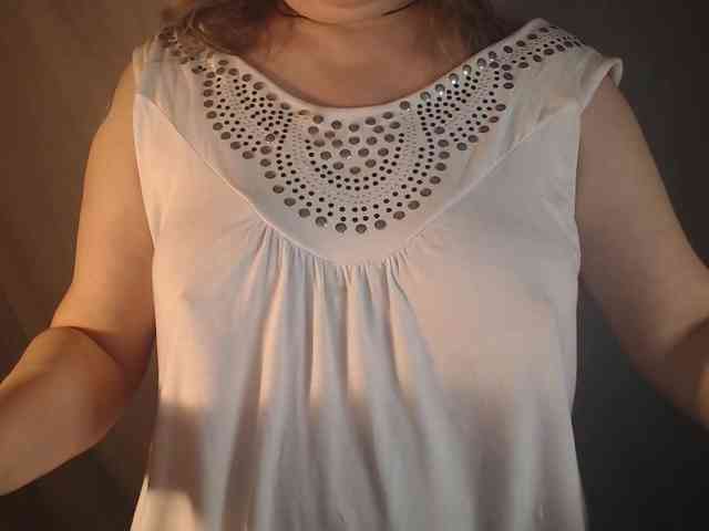 1BECHA1 webcam