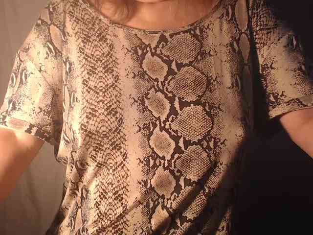 Model: 1BECHA1