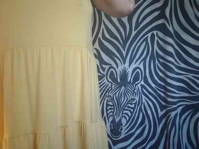 1BECHA1 webcam