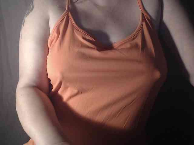 1BECHA1 webcam