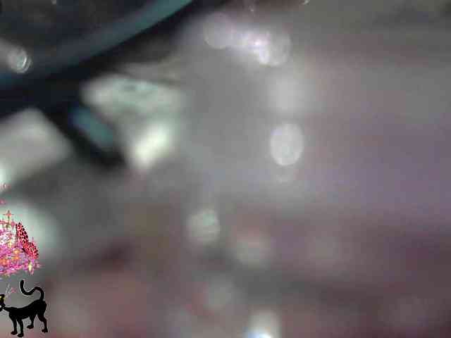 lu4ik webcam