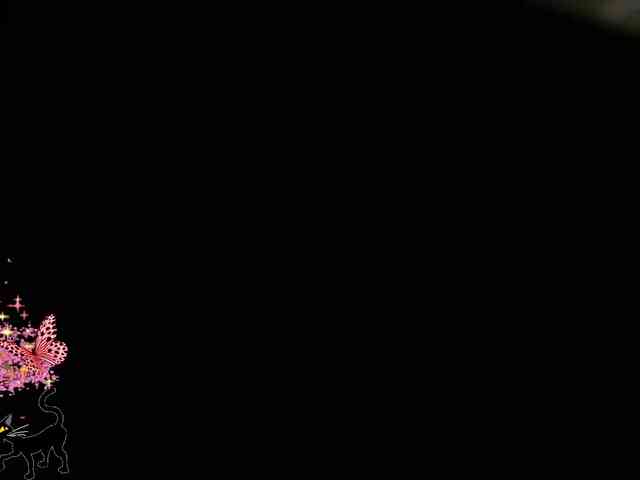 lu4ik webcam