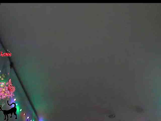 lu4ik webcam