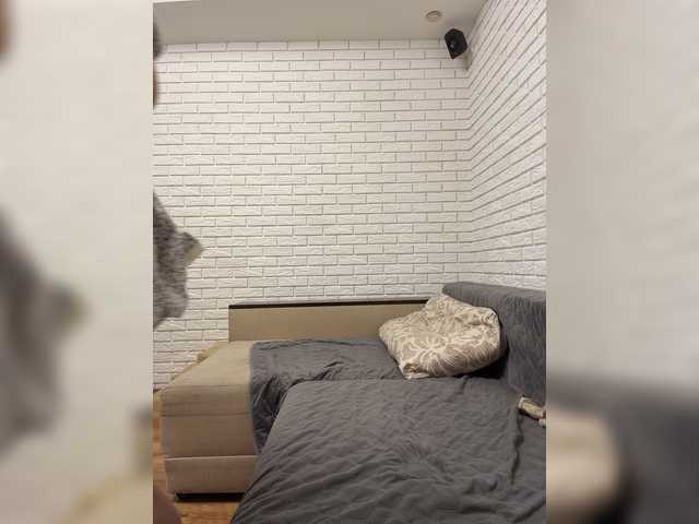 KitFox live webcam show