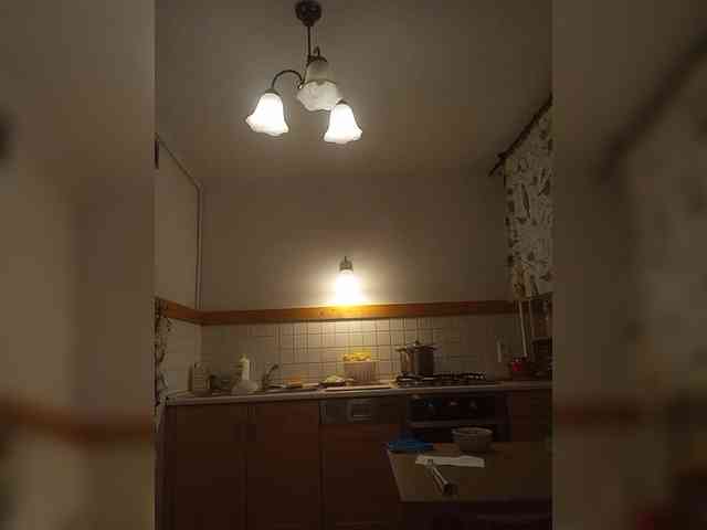 VolshEbnutaya_001 webcam