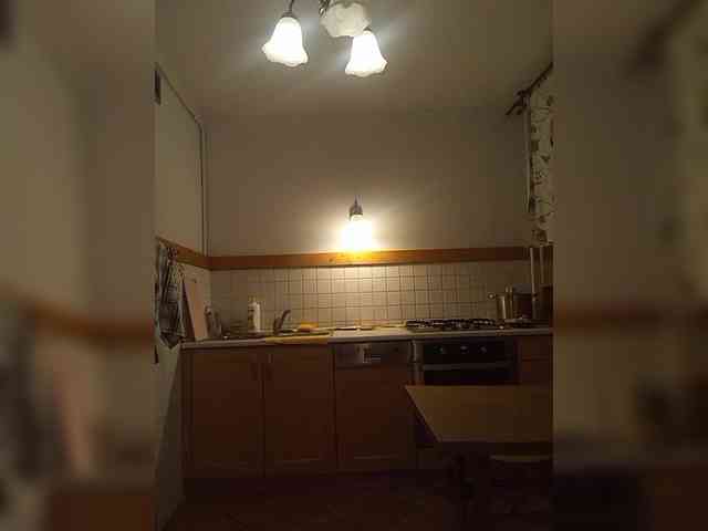 VolshEbnutaya_001 webcam