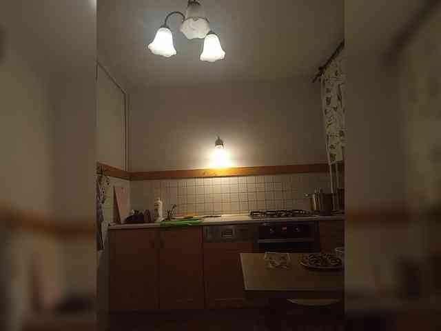 VolshEbnutaya_001 webcam