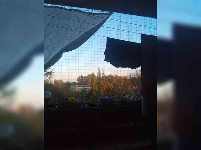 VolshEbnutaya_001 webcam