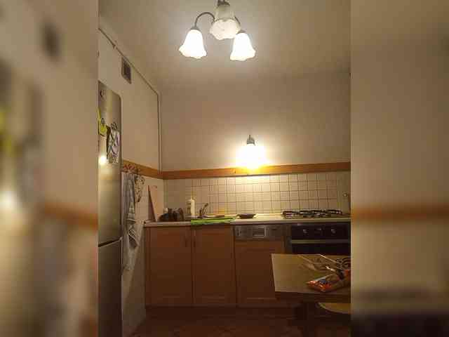 VolshEbnutaya_001 webcam