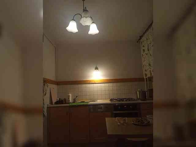 VolshEbnutaya_001 webcam