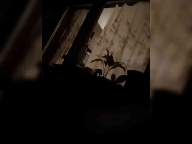 VolshEbnutaya_001 webcam