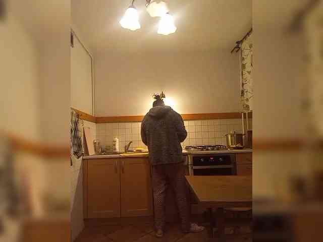 VolshEbnutaya_001 webcam