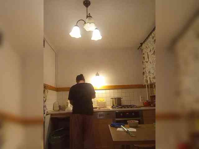 VolshEbnutaya_001 webcam