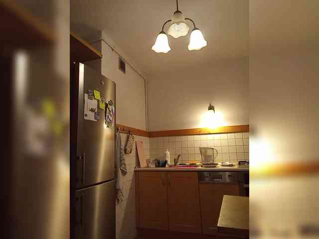 VolshEbnutaya_001 webcam