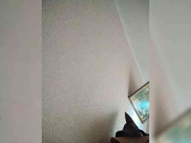 Omma1 webcam