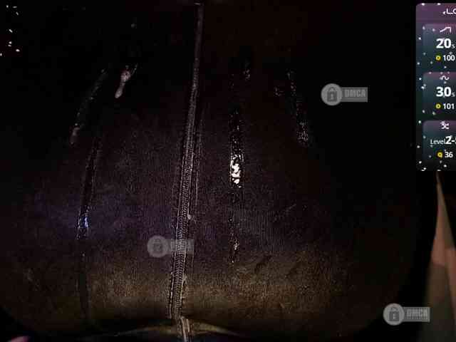 Rizzik webcam