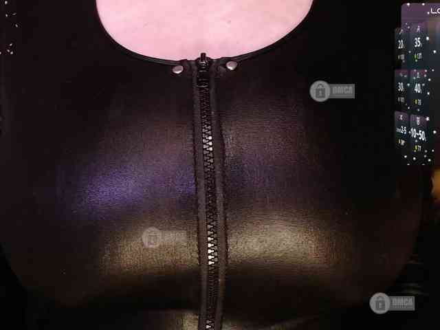 Rizzik webcam