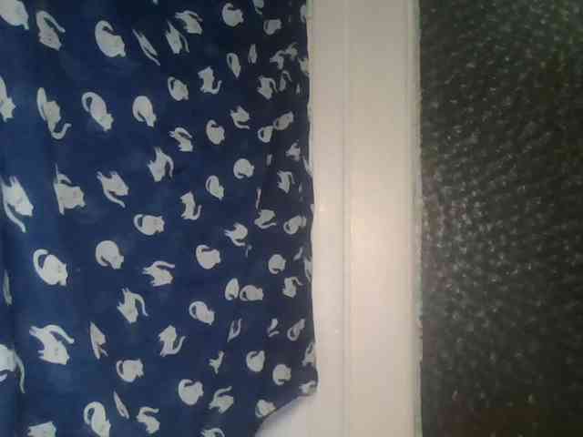 alanaastra webcam