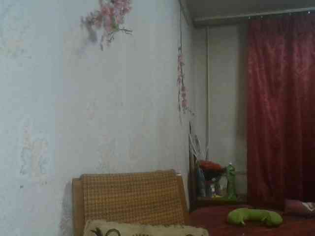 alanaastra webcam