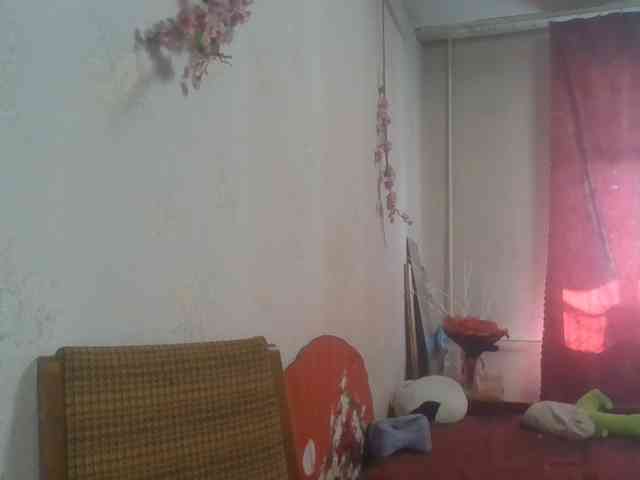alanaastra webcam
