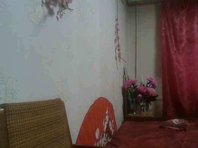 alanaastra webcam