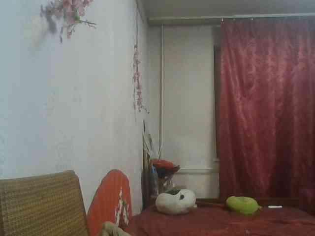 alanaastra webcam