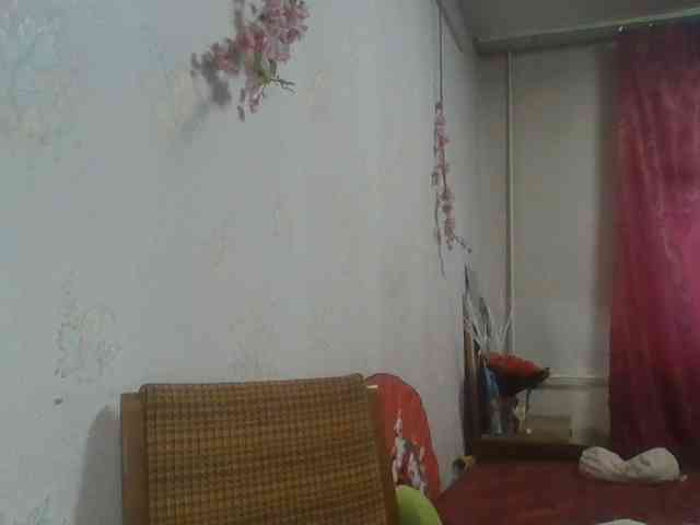 alanaastra webcam