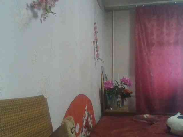 alanaastra webcam