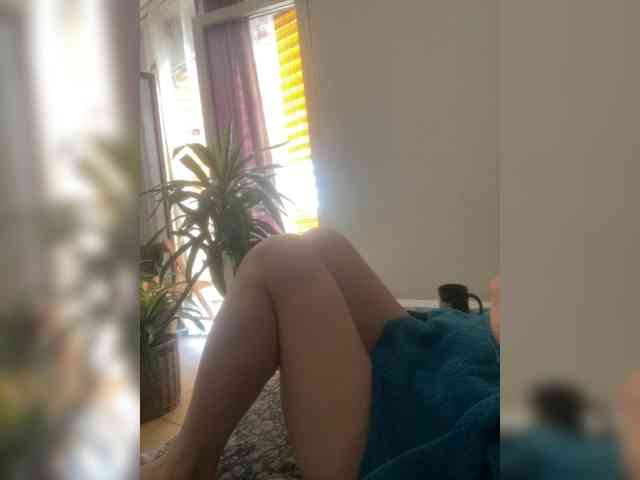 sibyl webcam