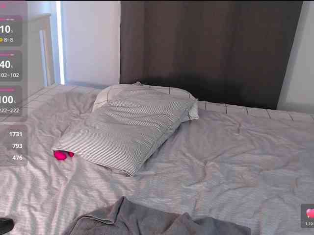 _-_L_-_ webcam