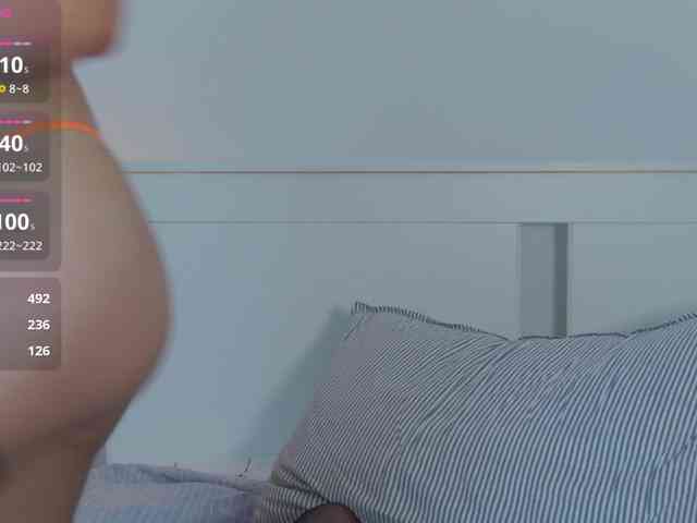 _-_L_-_ webcam
