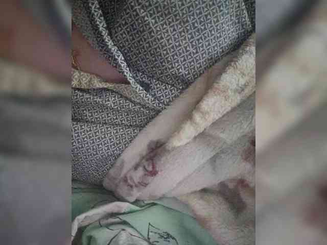 nedji8 webcam